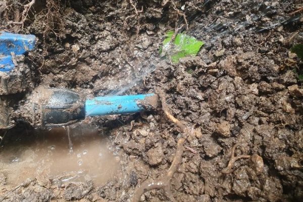 Water Mains Leak Detection Kings Lynn